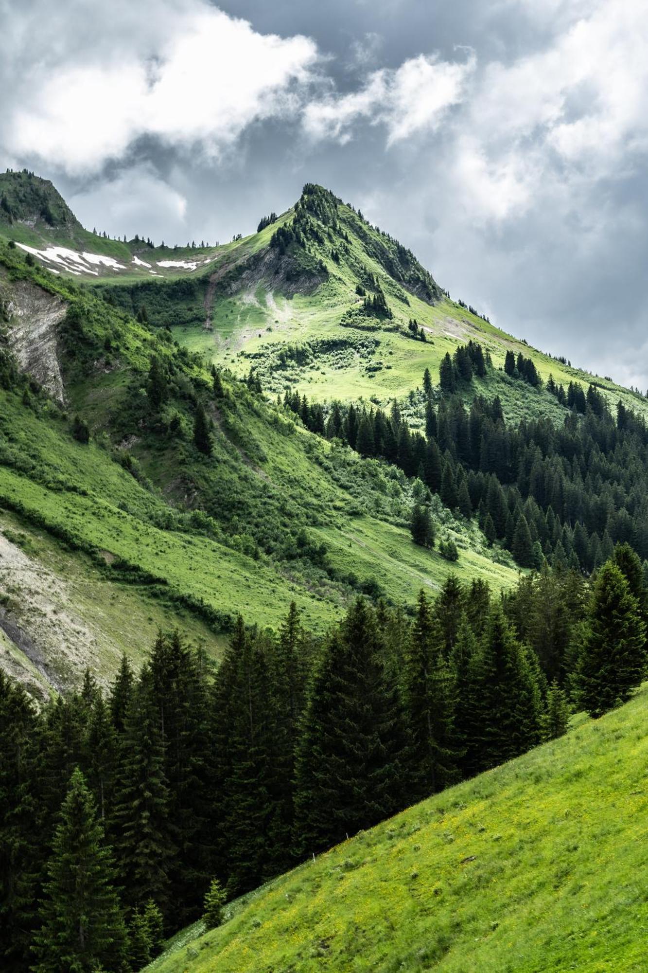 Gasthaus Ursprung Damuels Bagian luar foto